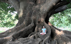 Mindfulness is effectief