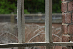 Opsluiten is slecht, niets doen is beter, en begeleiden is best