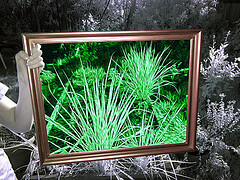 Nieuwspraak over participatie moet hulpbehoefte niet negeren