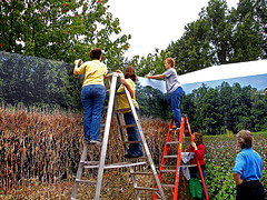 Al het werk is zingevend, ook het vrijwillige