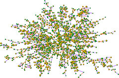 Sociale media: de beer is los en niet meer te stoppen