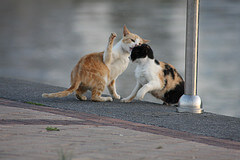Wetenschappers ken uw waarde, maar ook uw grenzen
