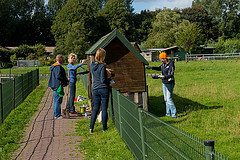 Durf eisen te stellen aan vrijwilligerswerk van bedrijven