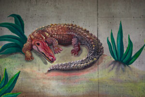 Jeugdcriminaliteit ofwel de zege van het krokodillenbrein