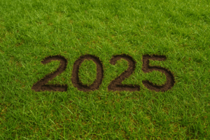 2025: 5 meest gelezen columns van Sociale Vraagstukken