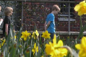 Een waarde(n)vol debat over de Week van de Lentekriebels