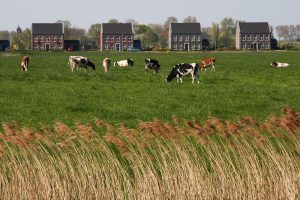 Onderzoek waardedaling huizen in Gronings aardbevingsgebied moet beter
