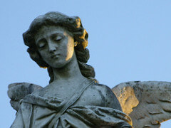 Jeugdzorg-voorman Sprokkereef verdient waardering voor eerlijkheid over dood Sharleyne