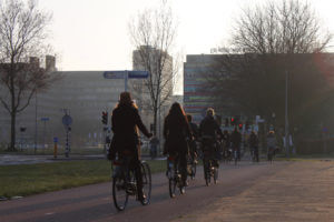 Racisme en discriminatie tegengaan op het hbo